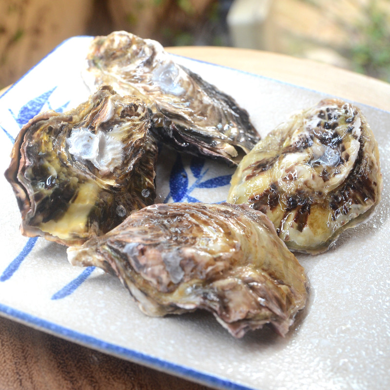 Frozen Fresh Oysters From Japan Oyster Delivery